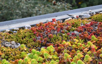 the cost of Busveal green roof installation