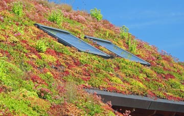Busveal living roof systems