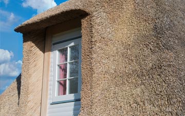 Busveal thatch roof disadvantages