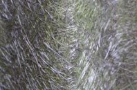 Busveal fibreglass roof work